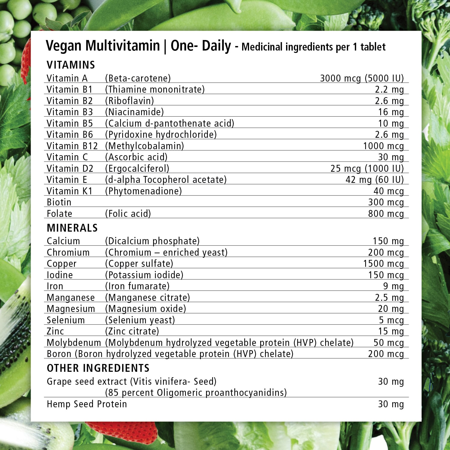 Vegan Multivitamin One Daily VEGANLY Vitamins