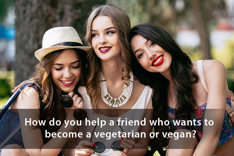 The Vegetarian Neophyte: How to Help Someone Transition