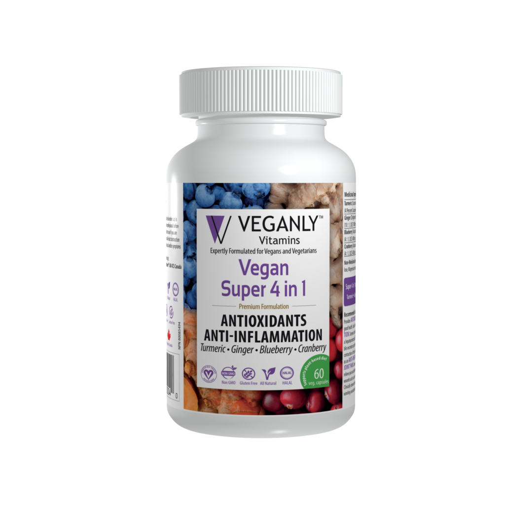 Exercise and Nutrition for Active Vegetarians a practical tip